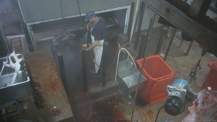 Menzel's Meats Tipout (Pigs)