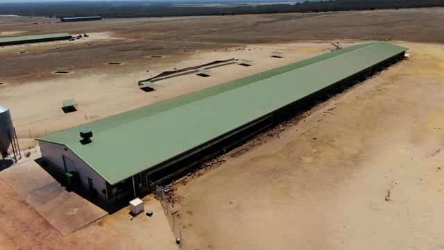 CF Farms - Beermullah Free Range Egg Farm (Drone Footage)