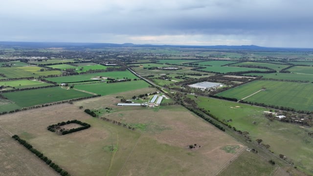 Drone flyover of free-range egg farm