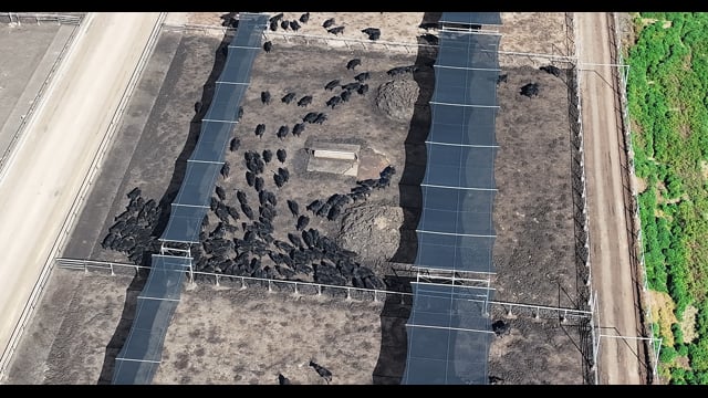 Nullamanna Feedlot - Inverell NSW