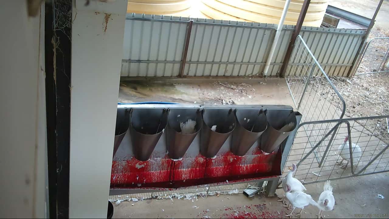 Cones