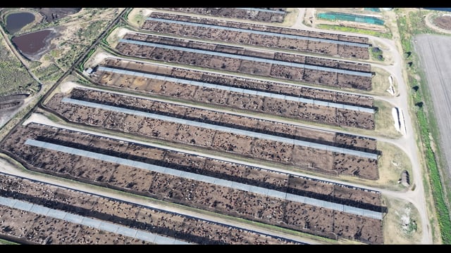Myola Feedlot - North Star NSW