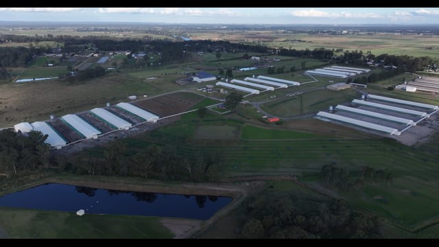 Terrace Farm - Free Range Eggs - Drone Footage
