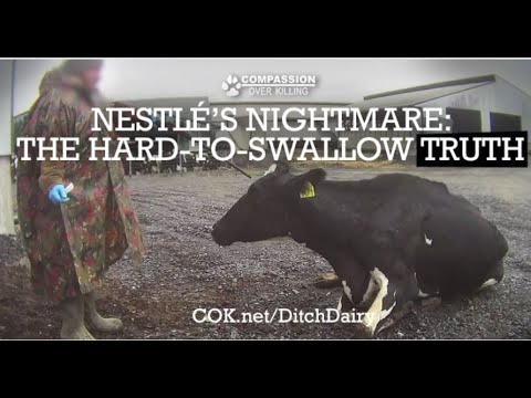 Nestle's Nightmare