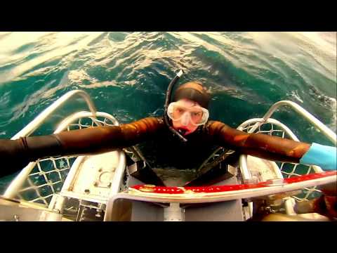 Sekol Tuna Farming 2015 Port lincoln South Australia