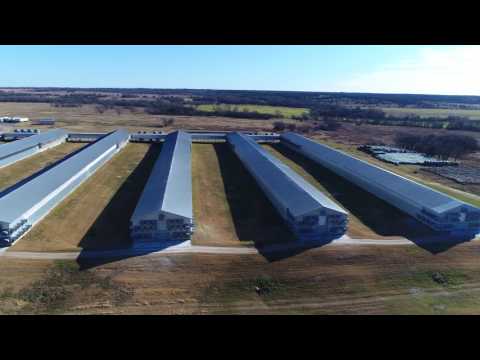 Drones Reveal Egg Factory "Farms"