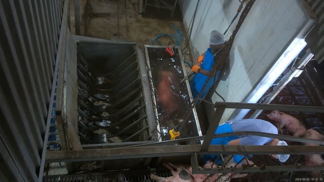 Hidden camera angle - Shackles & scalding