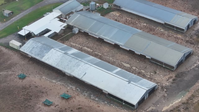 DJI_20260519161431_0090_D