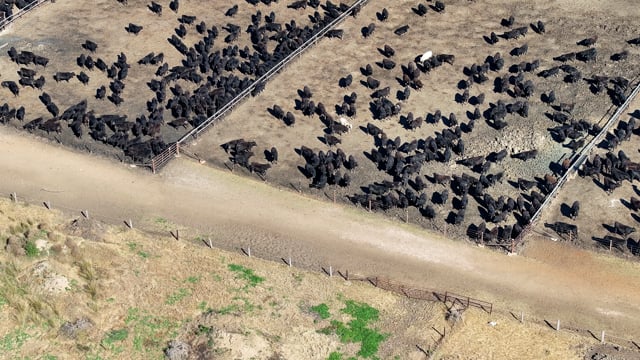 Gunnee Feedlot - Delungra NSW