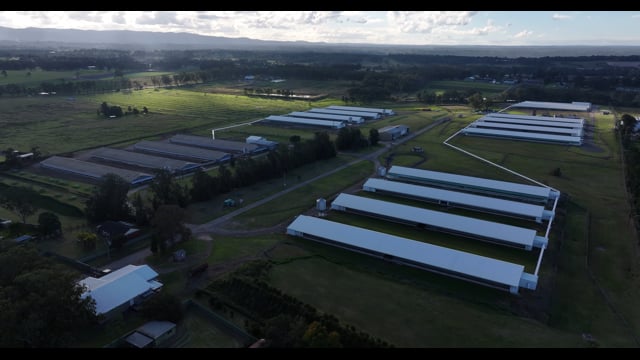 Terrace Farm - Free Range Eggs - Drone Footage